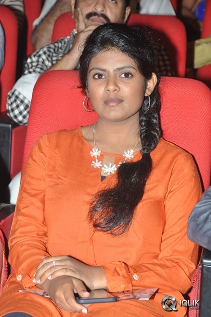 Temper-Movie-Audio-Launch